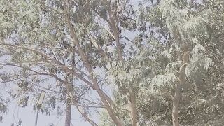 Sol hoje estava muito quente viu