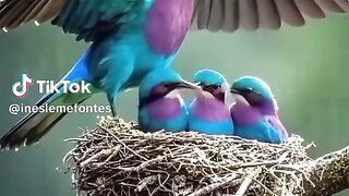 #a beleza da natureza e o amor
