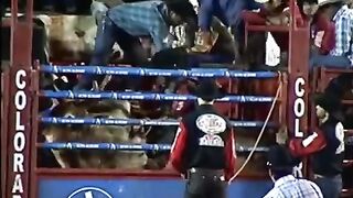 Touro Agressivo. Cia. Paulo Emilio