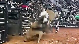 Touro Cobiçado. Cia. Tercio Miranda.