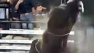 Touro Despacho. Cia Paulo Emílio!!