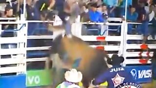 BANDIDO o touro mais temido de todos os tempos no rodeio brasileiro! BANDIDO, the most feared bull in the history of Brazilian rodeo!