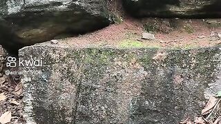 A walk with the son