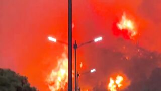 🔥🚨 AS CHAMAS IMPRESSIONAM! INCÊNDIOS FLORESTAIS DEIXAM 12 MORTOS E 54 FERIDOS NA ARGÉLIA 😱🇩🇿