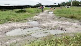 Ampliação de Usina Solar Brasil!!! Solar Power Plant Expansion in Brazil!!!