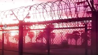Trailer Gta