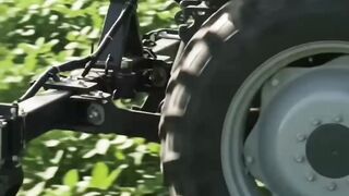 Smart Farming: The Future of Agribusiness