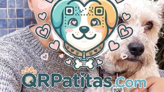QRPatitas.com | Placa QR para mascotas: perfil, WhatsApp, ubicación y mascota perdida