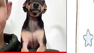 Presta atenção em