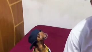 Não fala mal de mim
