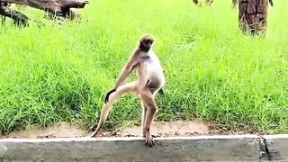 Uma dança muito especial