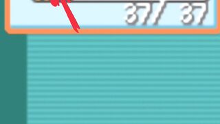 Did You Know Meowth Can Find Free Items?!