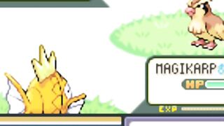 Should I Evolve This Shiny Magikarp?! (Devo evoluir esse Shiny Magikarp?!)