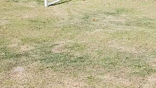 Jardim