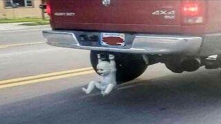 you win if you don't laugh ????