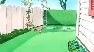 Tom &jerry .funny cartoon