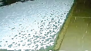 Funny animal????????????????????