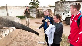 Funny Scary Animal Encounter