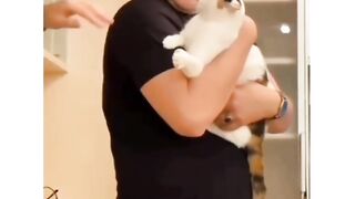 Soo sweet cat