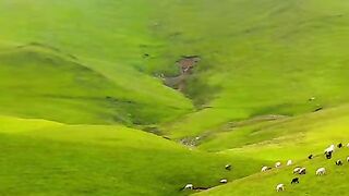 Beautiful nature | nature view | subscribe