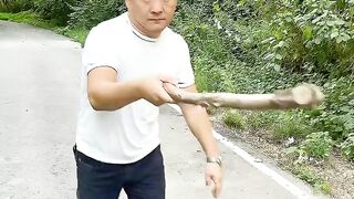New TikTok trend LeoNata family #shorts