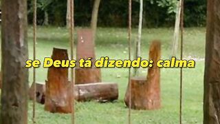 Motivaçaodiaria