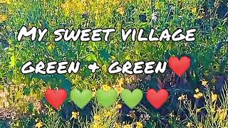 Greenery village