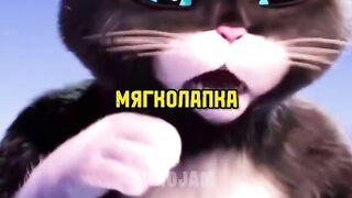 Киса никому не доверяет #фильмы#shorts