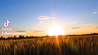 Subhanallah #2