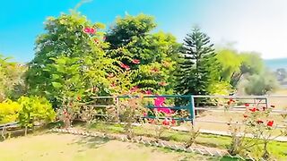 Beauty of nature