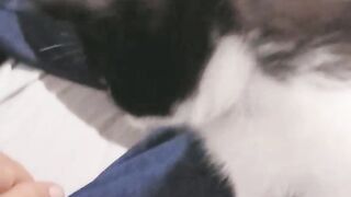 Nenê