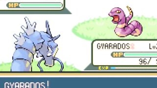 This Is Why Gyarados Is So Dangerous! (É Por Isso Que Gyarados É Tão Perigoso!)
