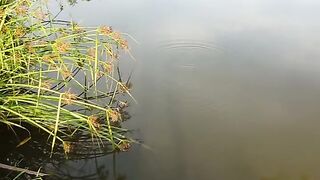 The excitement of afternoon fishing at the lake