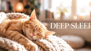 Música_Relaxante_para_Gatos_Dormirem_e_Voce_Tambem