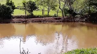 Fim de semana para pescar peixe
