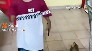 Meses tentei não  rir