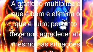Motivação 44