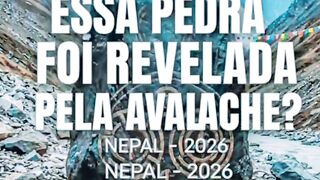 Video viral 175