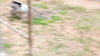 Um cão me visitou