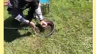 PEGOU BAGRE PELO BIGODE