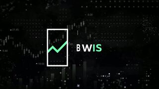 CEO Michael Nelson - Sistema BWIS: O Fim do Trading Manual em Criptoativos?