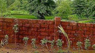 Kokan nature 🌅🌅🌅