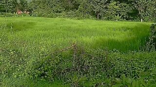 #/nature climate