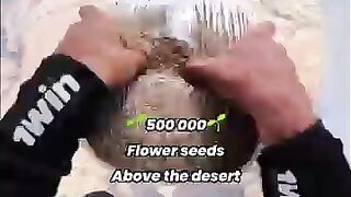 What if a skydive could grow a forest? 🌵 | Insta360 Ace Pro 2