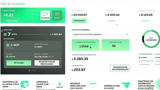 BWIS O Guia Completo do Relatório de Desempenho