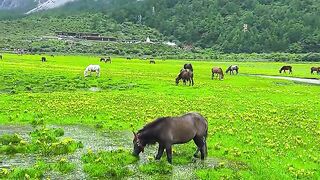Amazing Natural Views