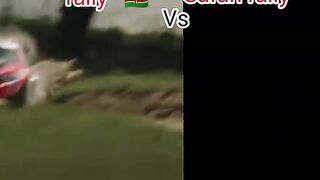 Kenya Vs Tanzania Safari rally🤣🤣