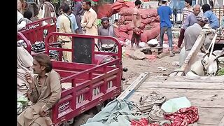 sabji mandi sargodha