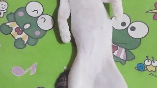 Cat...🐈
