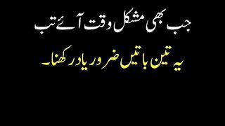 Islamic insight